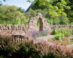 The university has also maintained different gardens including Butterfly Garden, Alumni  Garden, Herb Garden, and Rock Garden. It allows visitors to c